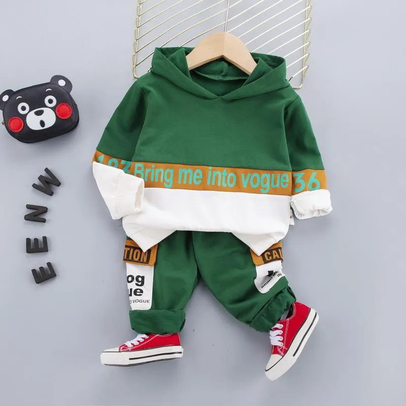 2-piece Color-block Hoodie & Pants for Toddler Boy Wholesale Children's Clothing