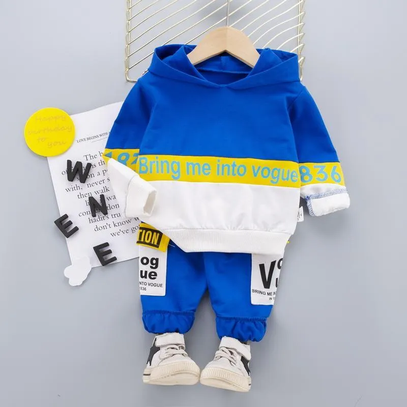 2-piece Color-block Hoodie & Pants for Toddler Boy Wholesale Children's Clothing