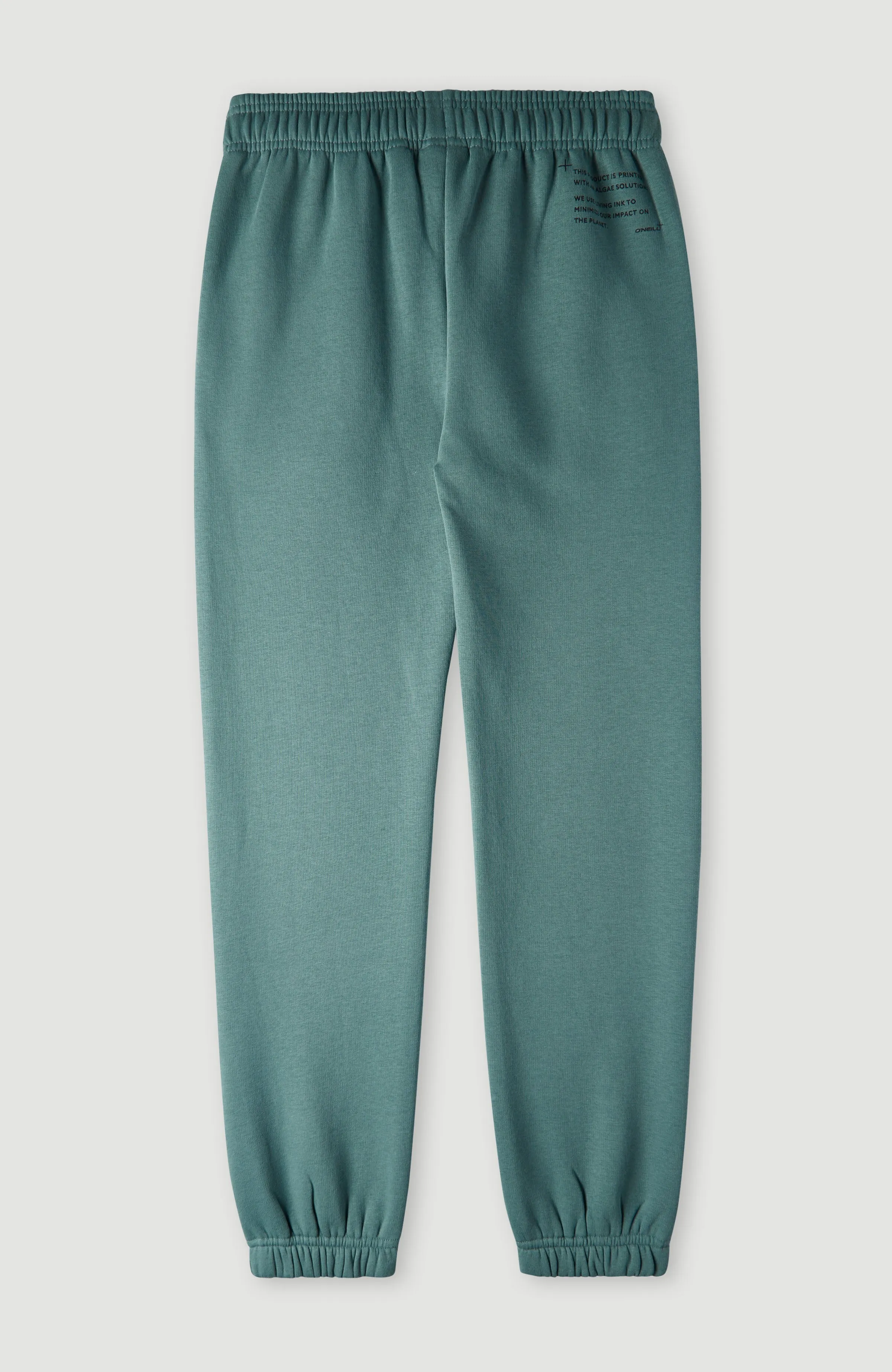 Future Surf Sweatpants | North Atlantic